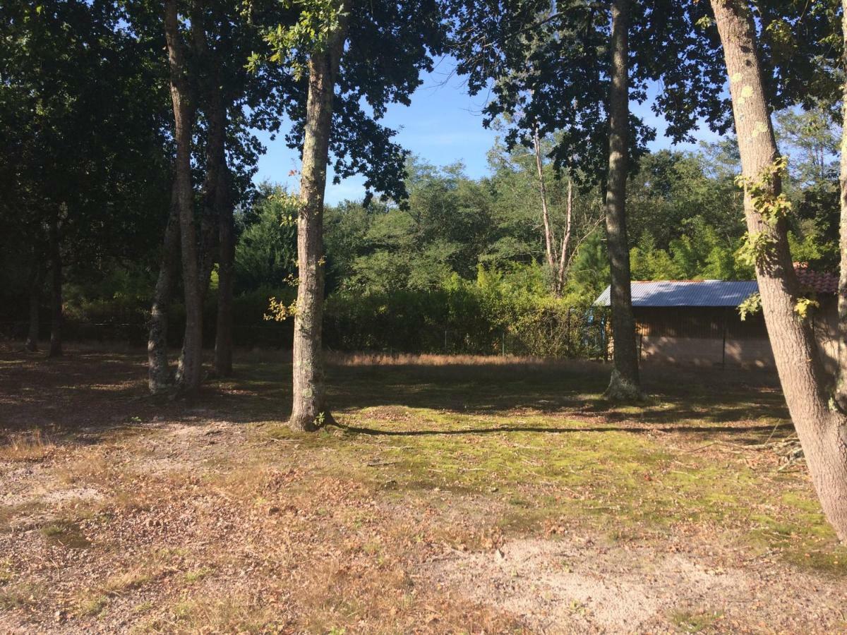 La Sapiniere Holiday home Saint-Vincent-de-Paul (Landes)